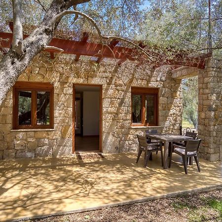 Stonehouse In Olives Apartment Ulcinj Bagian luar foto