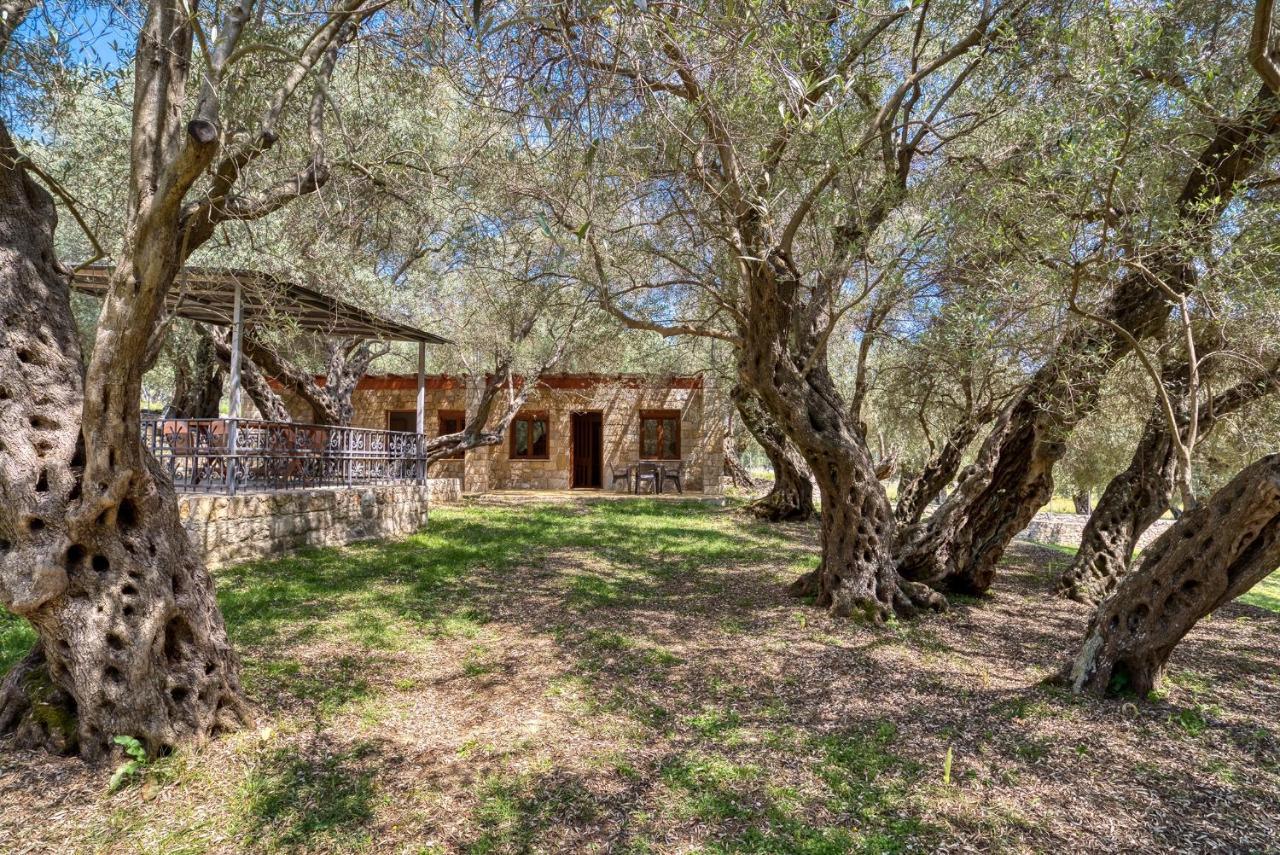 Stonehouse In Olives Apartment Ulcinj Bagian luar foto